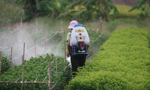 Chi hàng trăm triệu USD để nhập thuốc bảo vệ thực vật từ Trung Quốc mỗi năm
